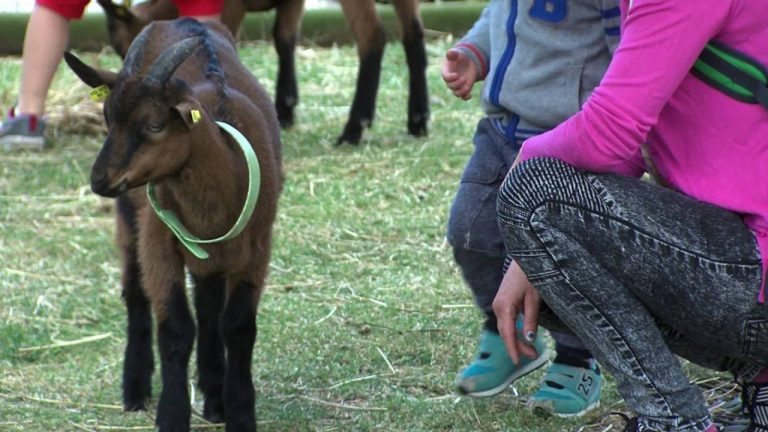 Vacances : des idées de sorties pour l&rsquo;été