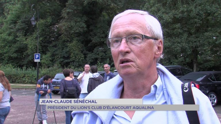 Automobile : Rallye solidaire à Elancourt