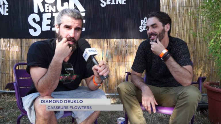 Rock en Seine 2016 : Entre artistes confirmés et en devenir