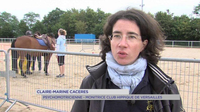 Solidarité : la 7ème édition des Olympiades de Versailles