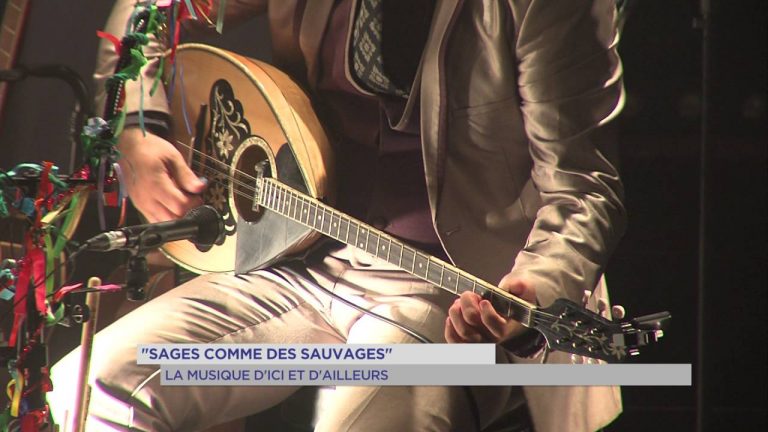 ‘Sages comme des sauvages’ : la musique d’ici et d’ailleurs