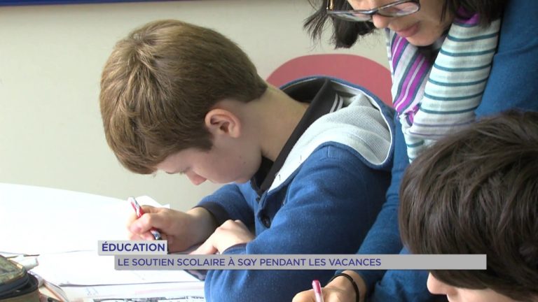 Soutien scolaire : en ligne ou non, la demande augmente