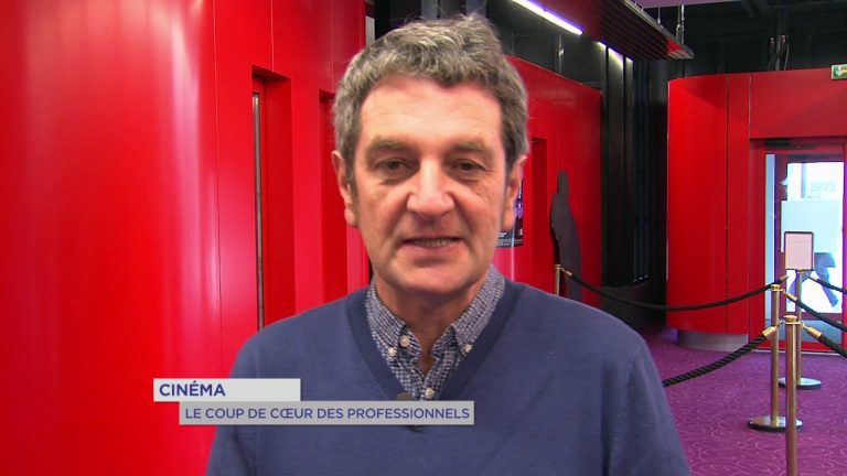 Cinéma : coup de coeur des professionnels du 26 octobre