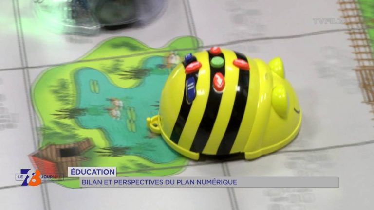 Education : bilan et perspectives du plan numérique