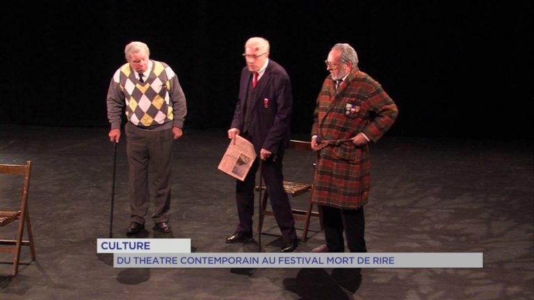 Festival : ‘Mort de rire’ à Saint-Cyr-l’Ecole