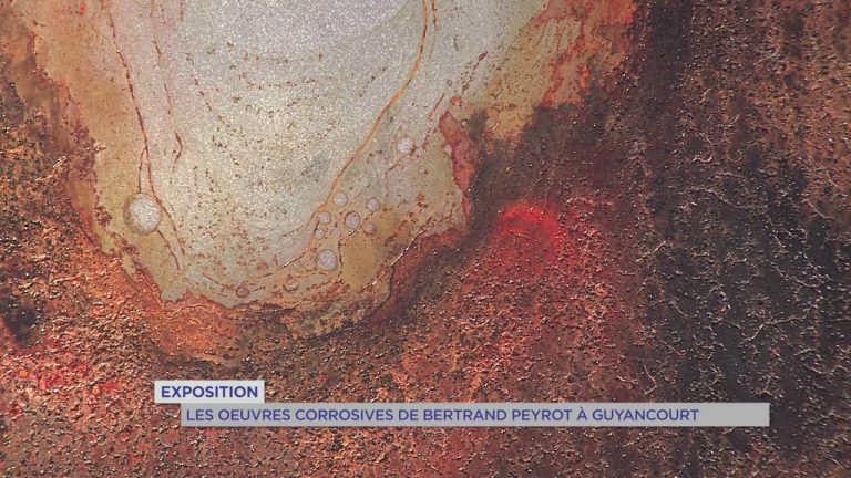 Exposition : les œuvres corrosives de Bertrand Peyrot