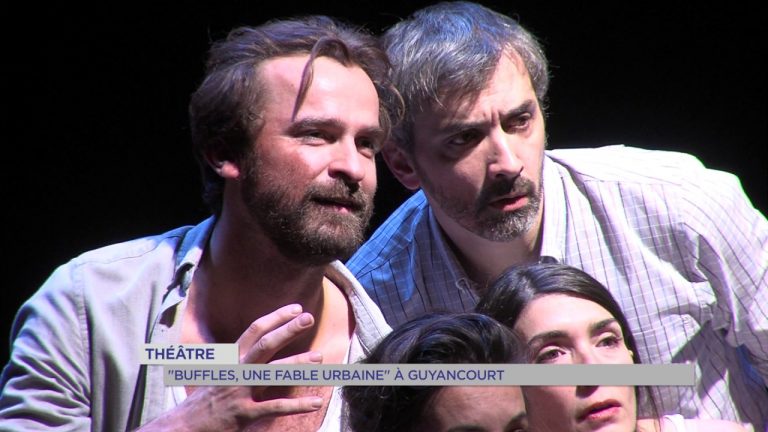 Théâtre : &lsquo;Buffles, une fable urbaine&rsquo; à Guyancourt