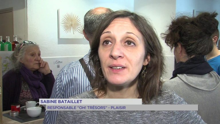 Plaisir : découverte du thé pour la semaine du goût