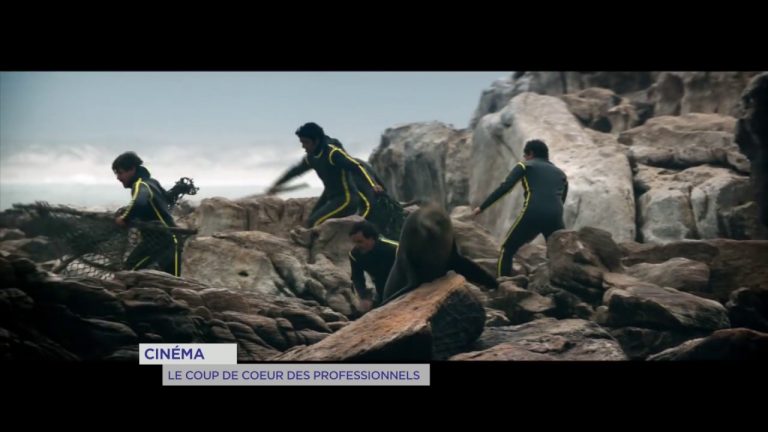 Cinéma : coup de coeur des professionnels du 2 novembre