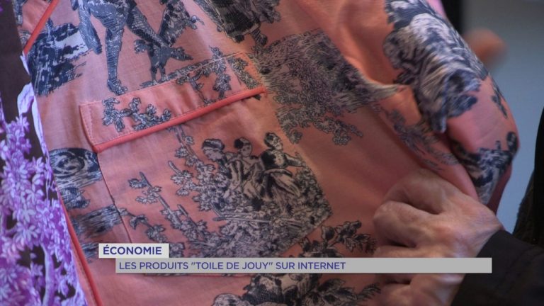 Patrimoine : la toile de Jouy en vente sur internet