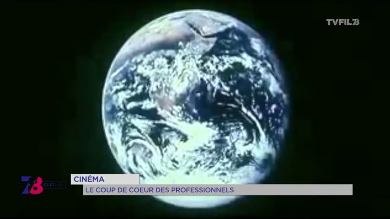 Cinéma : coup de coeur des professionnels du 9 novembre