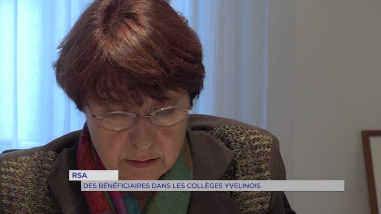 RSA : Insérer les bénéficiaires dans les collèges Yvelinois