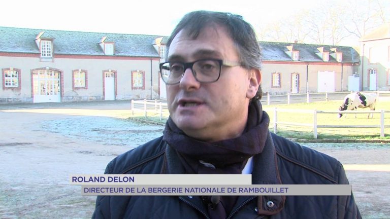 Bergerie Nationale : un nouvel atelier de transformation de lait bio