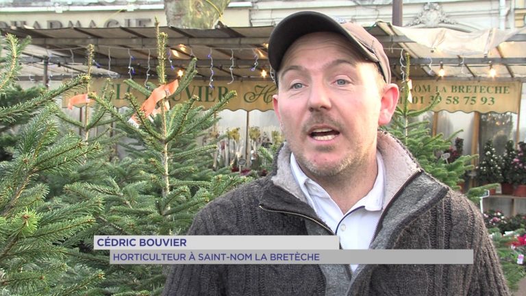 Noël : mon beau sapin !