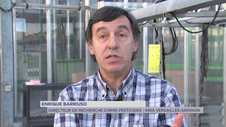 Environnement : l&rsquo;INRA, 70 ans au service de la recherche agronomique