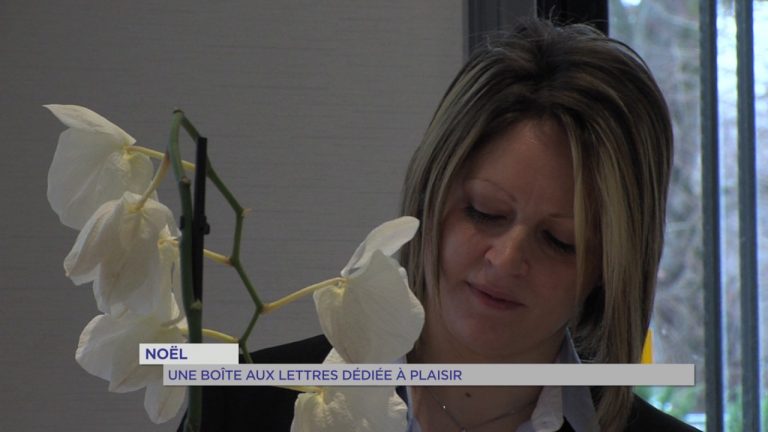 Plaisir transmet vos listes de Noël au pôle nord