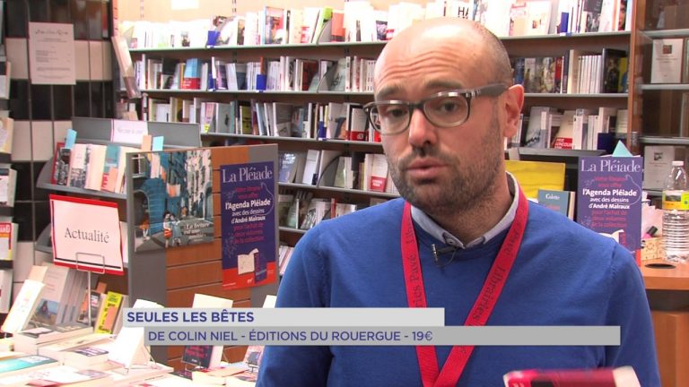 Littérature : les livres 2017 à ne pas manquer