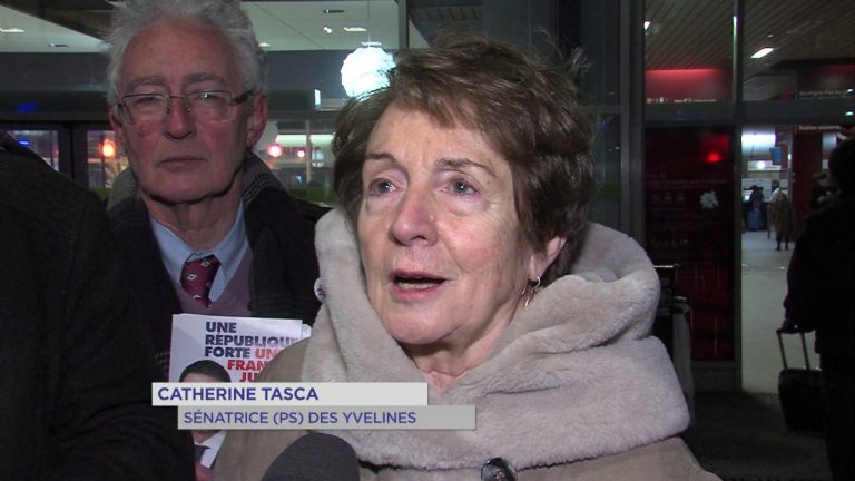 Primaire de la gauche : La sénatrice C. Tasca derrière M. Valls