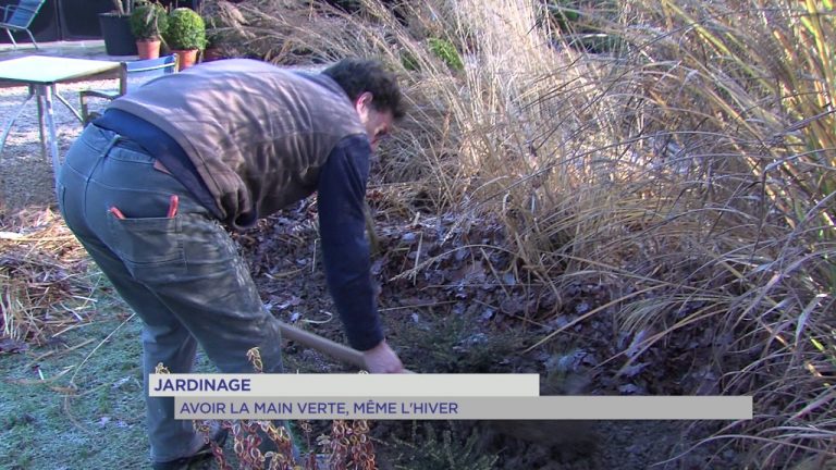 Jardinage : avoir la main verte, même l’hiver