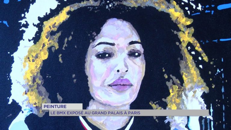 Peinture : le BMX exposé au Grand Palais à Paris