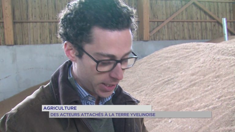 Agriculture : des acteurs attachés à la terre yvelinoise