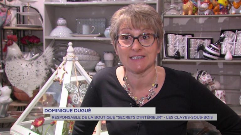 Décoration : une boutique des Clayes-sous-Bois distinguée