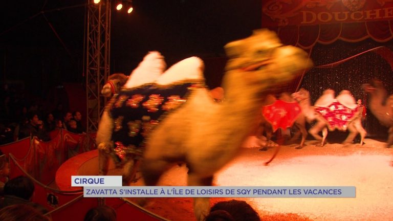 Cirque : Zavatta s’installe à l’Île de Loisirs pour les vacances