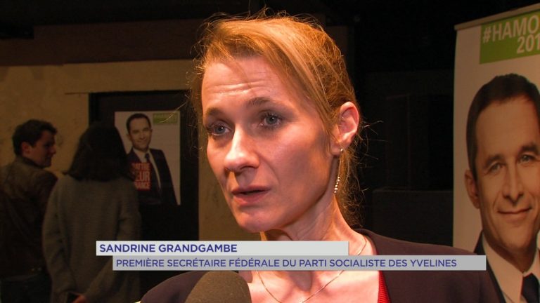 Présidentielle : lancement de campagne dans les Yvelines pour Benoit Hamon