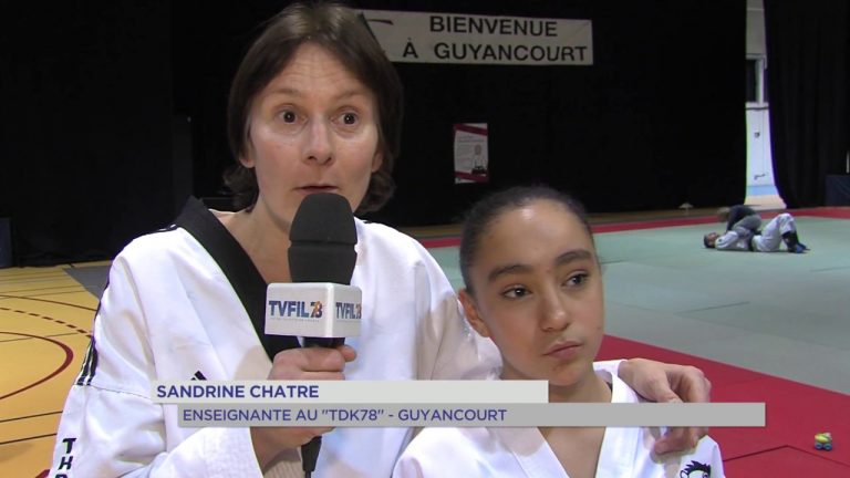 Guyancourt : nouvelle nuit des arts martiaux