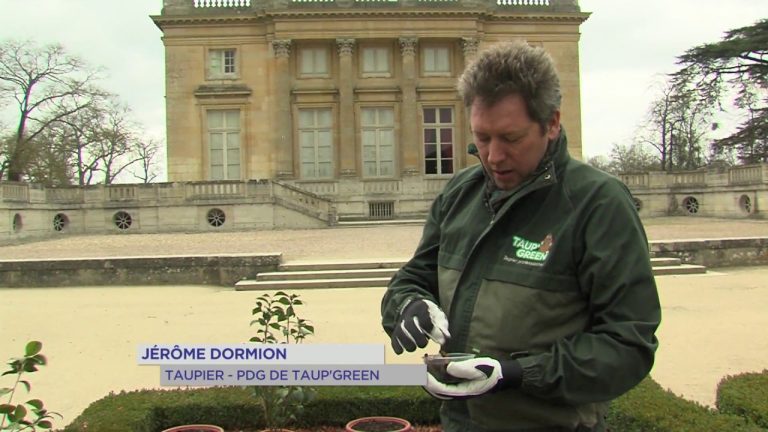 Versailles : rencontre avec le taupier du château