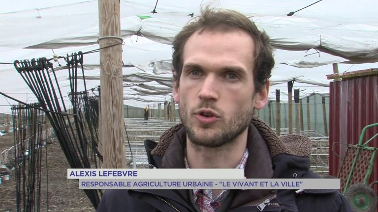 Agriculture : les fermes en ville de Saint-Cyr-l’Ecole