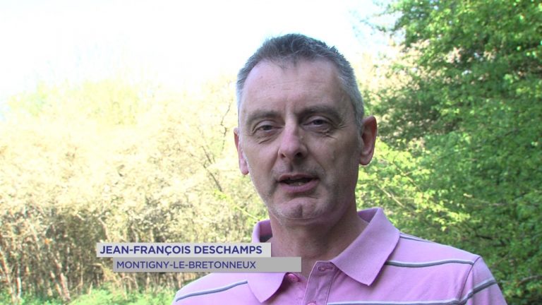 Environnement : à la découverte des grenouilles