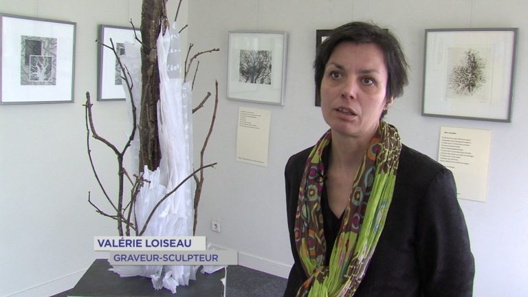 Voisins-le-Bretonneux : la nature gravée de Valérie Loiseau
