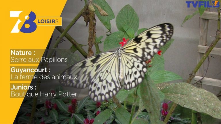 7/8 Loisirs – vendredi 14 avril 2017