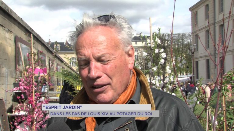‘Esprit jardin’ : dans les pas de Louis XIV au potager du roi