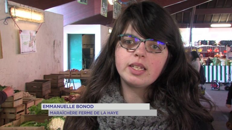 Consommation : pensez aux fruits et légumes de saison