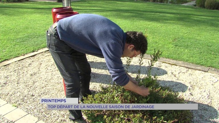 Printemps : Top départ de la nouvelle saison de jardinage