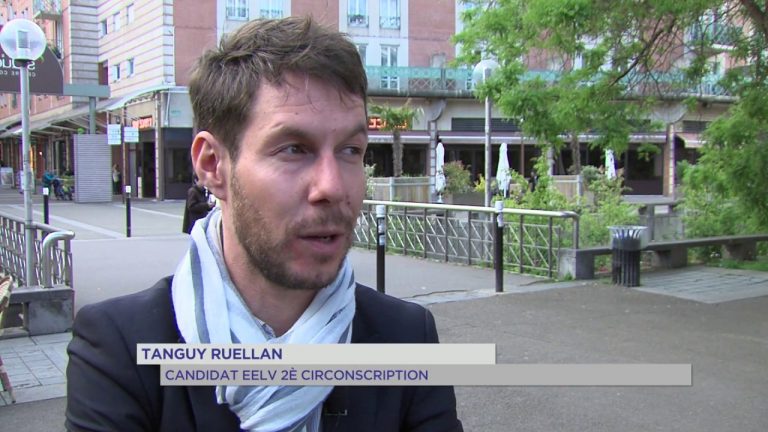 Législatives : EELV entre alliances et candidatures isolées dans les Yvelines