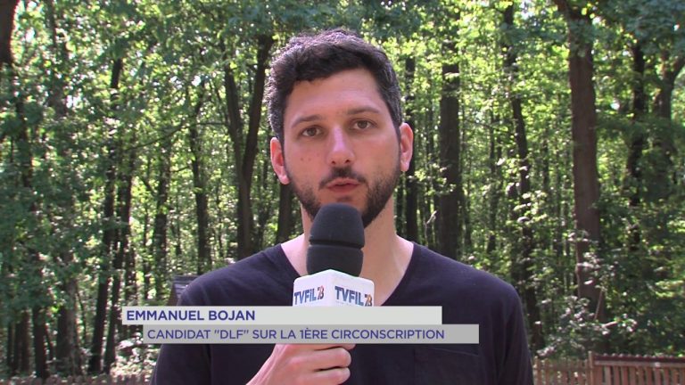 Législatives : DLF bien présent dans les Yvelines