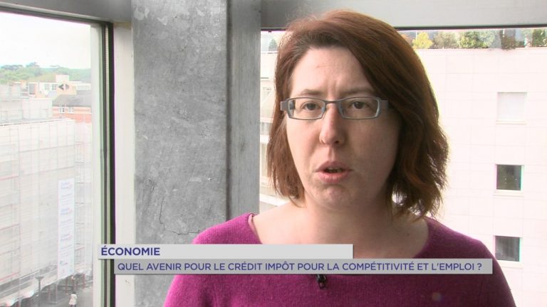 Économie : quel avenir pour le Crédit d&rsquo;impôt pour la Compétitivité et l&rsquo;Emploi ?