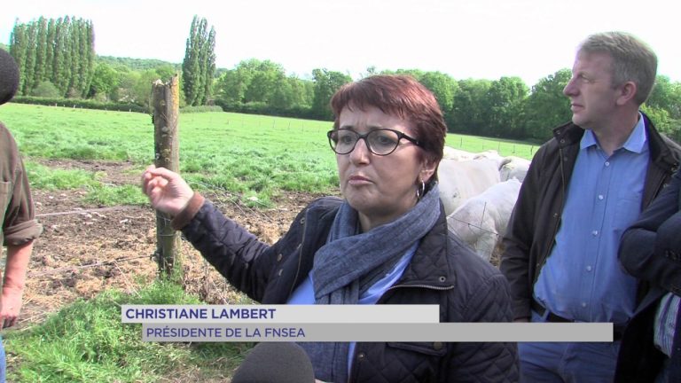 Agriculture : lancement des fermes ouvertes