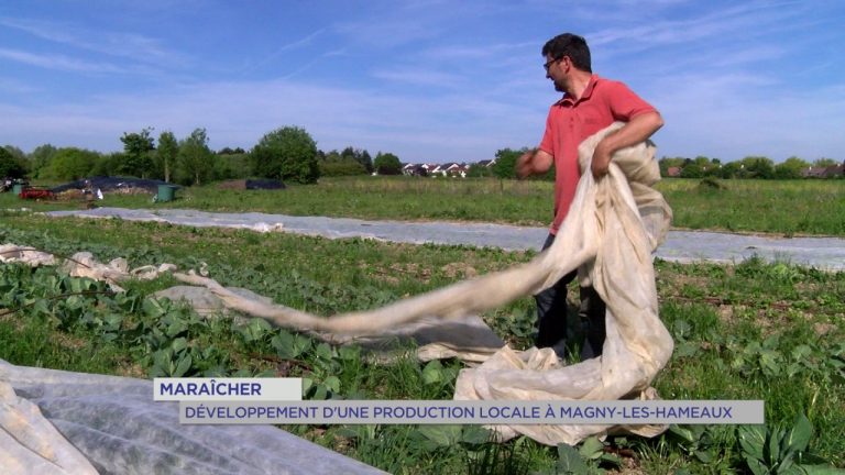 Maraîcher : développement d&rsquo;une production locale à Magny-les-Hameaux