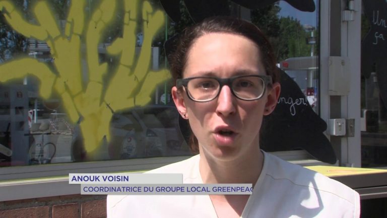 Greenpeace : mobilisation contre la pollution de groupes pétroliers