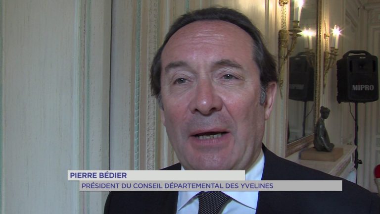 Législatives : Les Républicains ambitieux dans les Yvelines