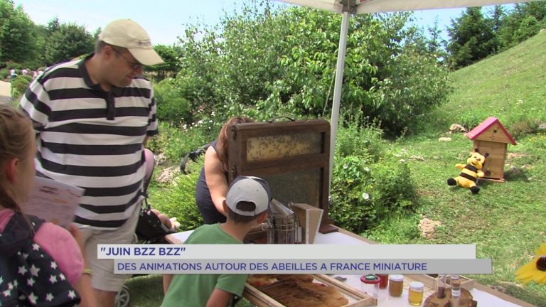 Environnement : un juin &lsquo;Bzz Bzz&rsquo; à France Miniature