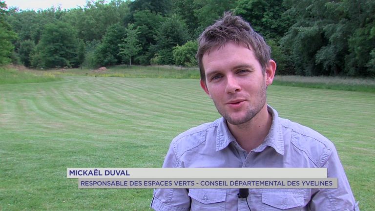 Patrimoine : rendez-vous aux jardins ce week-end