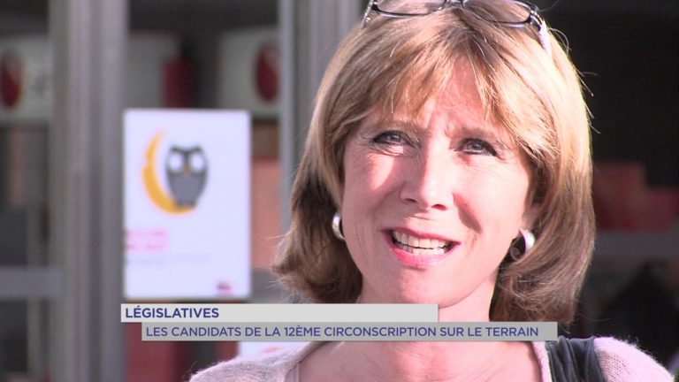 Législatives : Les candidats de la 12è circonscription sur le terrain