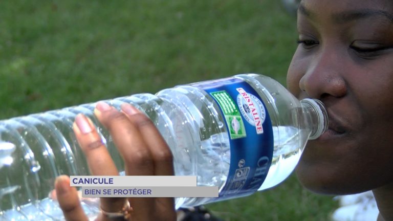 Canicule : les bons conseils pour se protéger