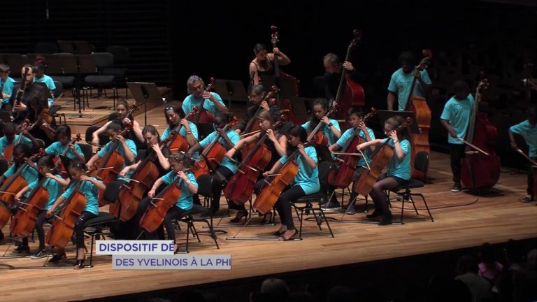 ‘Demos’ : les yvelinois jouent à Paris