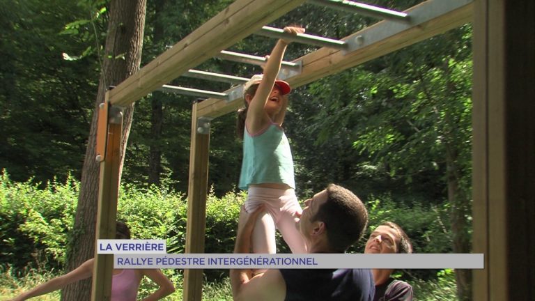 Santé : un rallye pédestre dans le parc de la MGEN à La Verrière
